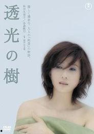 透光的树电影在线观看,光影交织的奇幻之旅  第1张